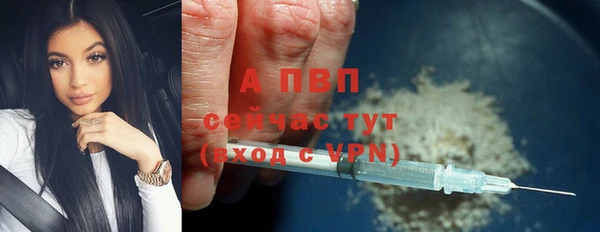 спиды Белокуриха